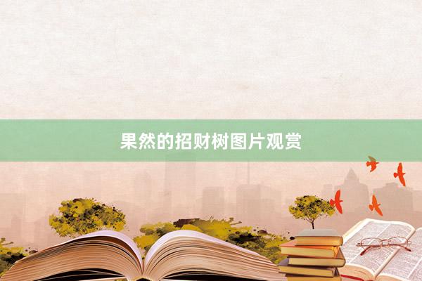 果然的招财树图片观赏